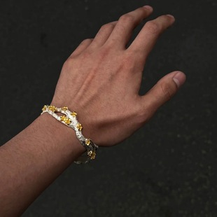 �¿��̽��һ����C����ʽ���L���y�Ļ�Ԣ������OӋ�������o���֭h