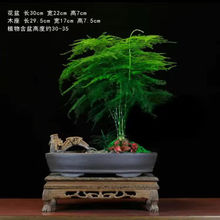 �����������k��������͏d�ļ������҃ȾGֲ���ܶU���辰