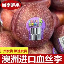 �V�ݽ������lֱ�l����S�������M��Ѫ�z���P����t����������ɿ�