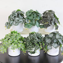 �͏d�҃��b��������Ի�ˇ�[������ֲ�����ϼٻ��ݾG�}�~�������l