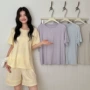 宽松新款蕾丝春夏家居服