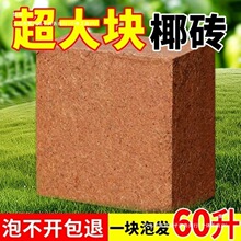 9���KҬ�u�I�B���B����Ҭ�Ӛ�����Ү�u�N������Ó�}Ҭ���uֲ��
