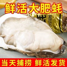 �r�����5�����l������������r�ش�Ϡ�ӎ���ĵϠ�����������l