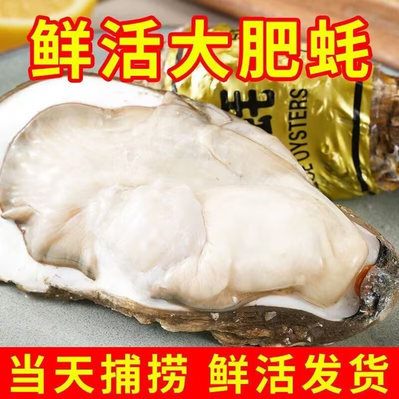 鲜活生蚝5斤批发】包活包肥新鲜特大海蛎子带箱牡蛎整箱商用批发