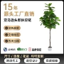 盆栽人造仿生仿真假树