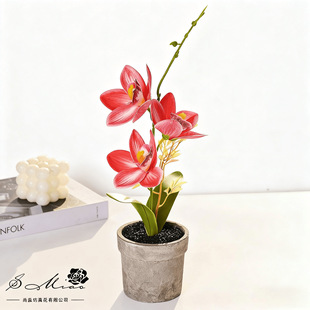 Three-Headed Small Orchid Bonsai Potted Artificial Flower Green Plant Desk Decoration Home Indoor Living Room Flower Decoration Flower