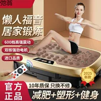 Машина для стряхивания жира Машина для тряски ритмического спортивного оборудования для похудения