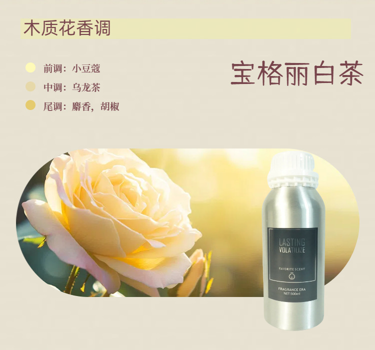 불가리 화이트티 (점장 추천)