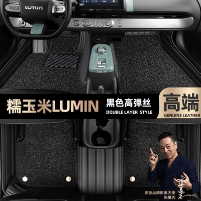 Floor Mats Suitable for Changan Ayaqaltılar (Kovriklər) - take-a-photo-of-the-car-model-year-and-leave-a-message-black-leather-black-high-elastic-silk-double-layer-model