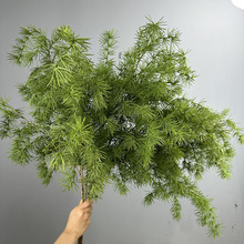 网红绿植芦荀草龙须草仿真文竹天门冬森系花艺婚礼造景软胶绿植