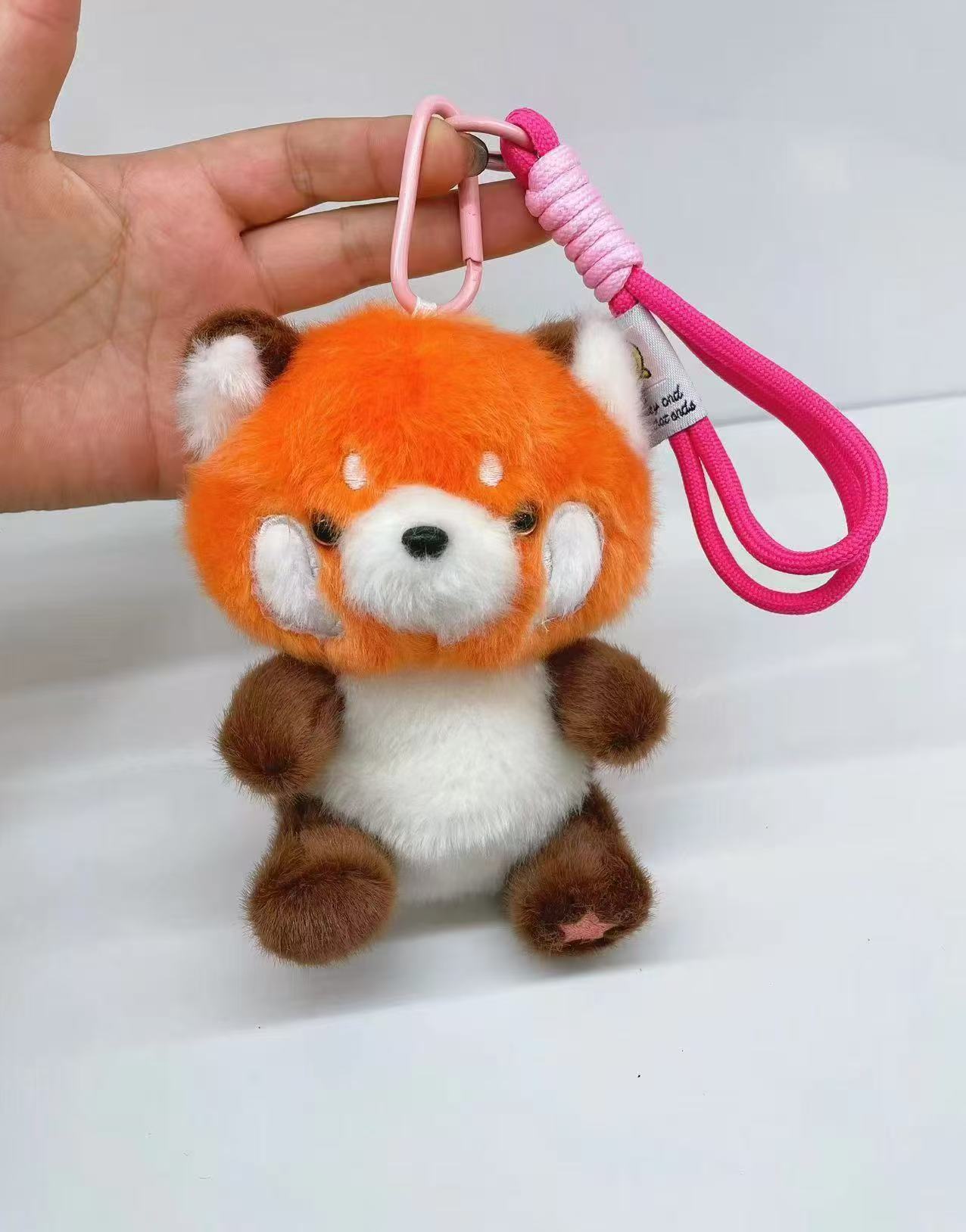 Mapache