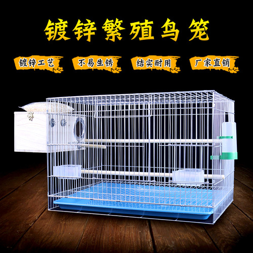 New product bold and weighted galvanized breeding cage peony parrot bird cage Xuanfeng starling pigeon large bird cage