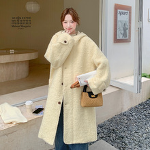 2025�궬���¿�p�g�ٴ����m���H�w���e����Ʒ�|���L��ë�ش��³�