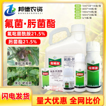 ��Ʒ�ݶ�¶��ɭ��־��������������S�ϰа߲��׷۲����rș������