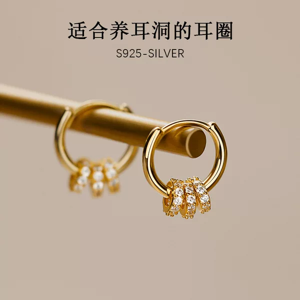 Exquisite small earrings ear buckle female Net red elegant high-grade ear ring niche design simple cold style ear studs