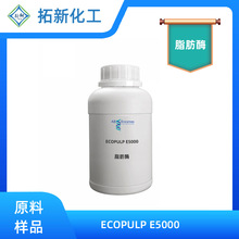 Ӣø ECOPULP E5000 ֬��ø ������֬�۝n��ϴ ���ռ��{���z��