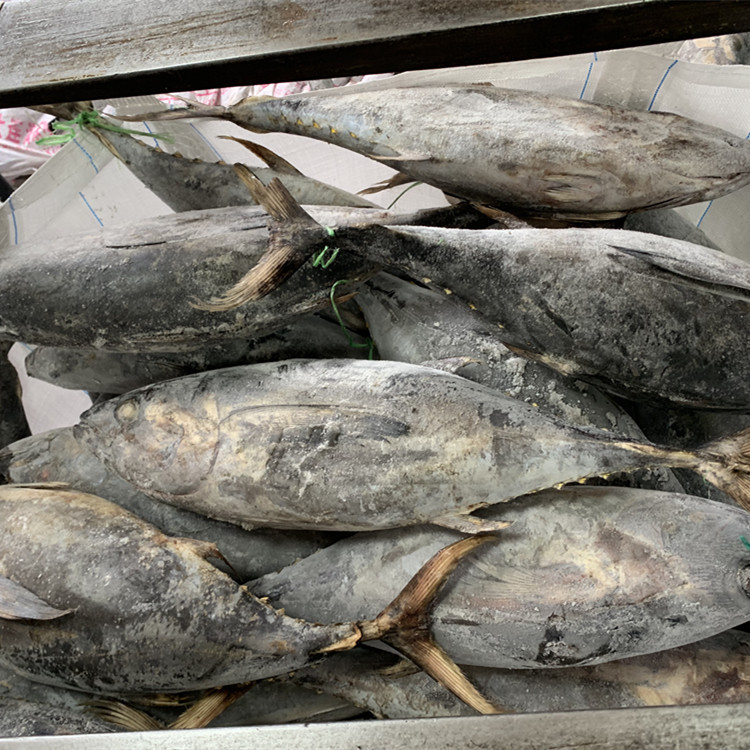 10a9becf5ffb823e5785f485ddd95b