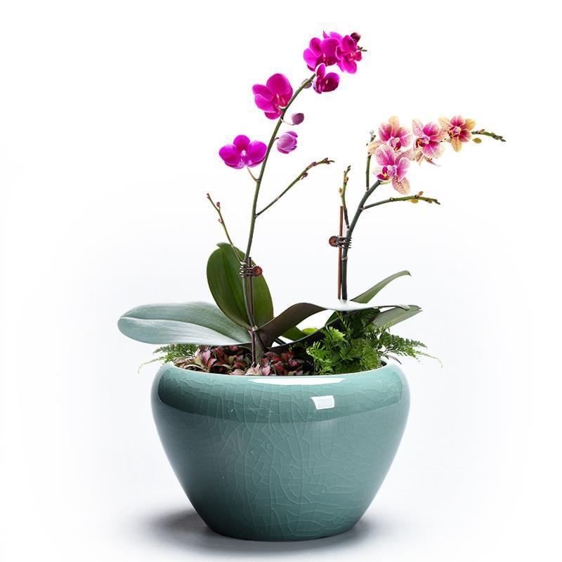 Green Flower Pot Ceramic Large-size Kiln Phalaenopsis Harmon Green Plant Clivia Household Chlorophyllus Potted Creative Coarse Pottery