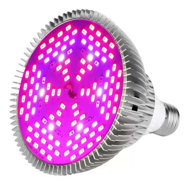 80W