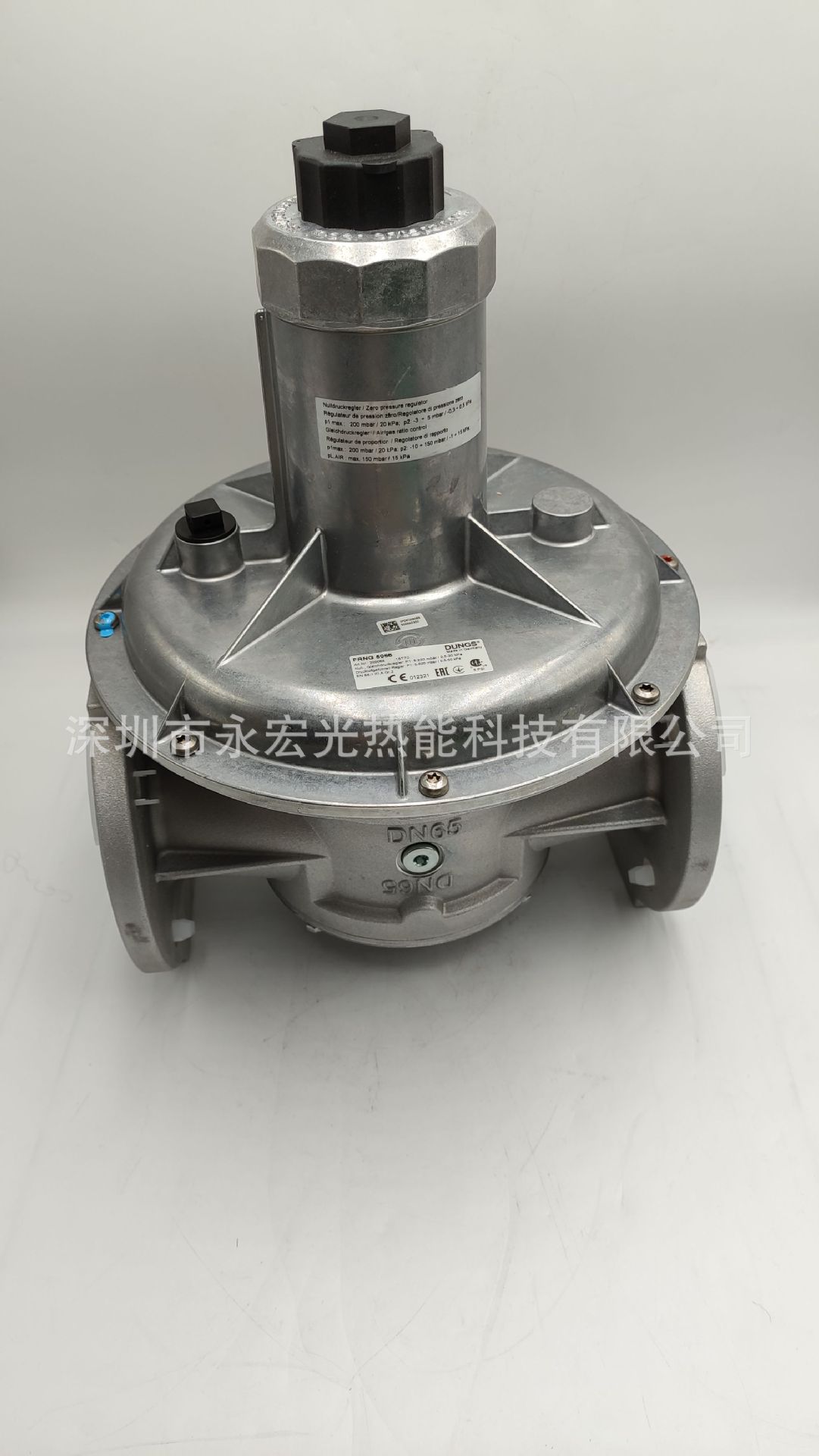 FRNG505比例阀原装冬斯DUNGS压力调节器燃烧机专用配件供应商正品