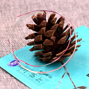 ������ �������� ���� �����ռ�����䓽z���Ҙ������