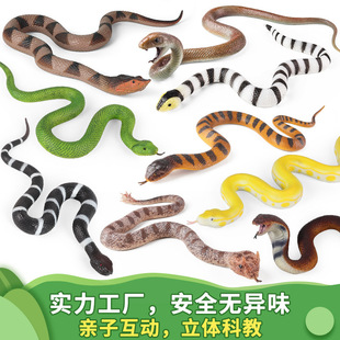 �羳����p��tprܛ�z����ģ�ͺ������β���S�������R�������b�