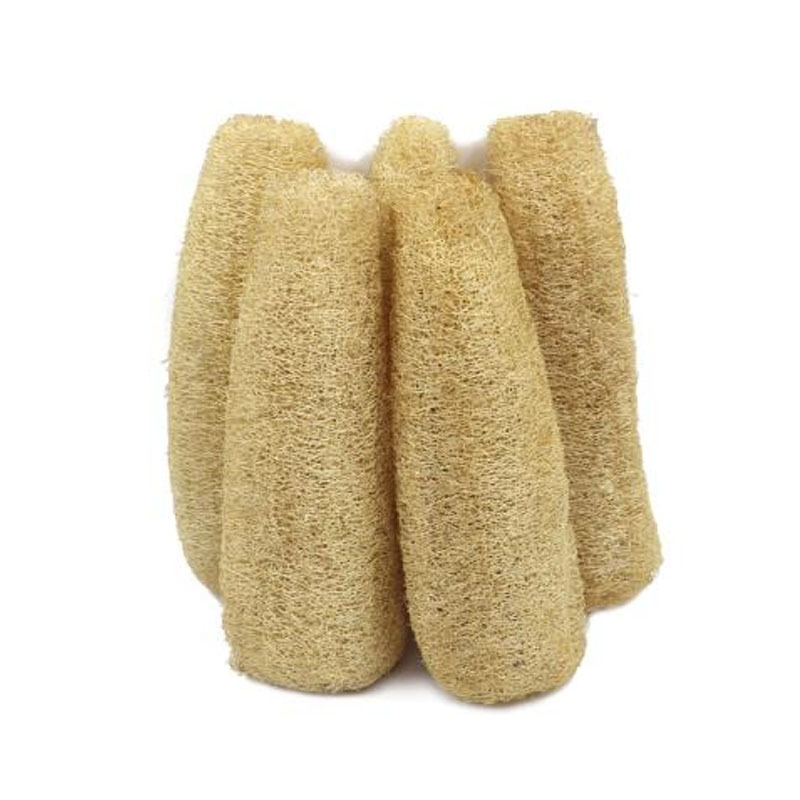 20-25cm 전체 (부드러운 멜론)