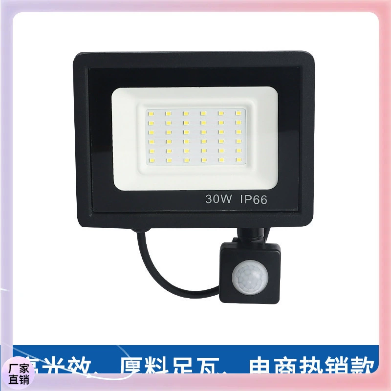 Apple, LED индукционный дорожный физиологический прожектор, 50W, 100W