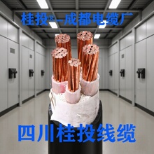 �ɶ���|�S ZC-YJV 4*95+1*50 3+1 3+2x10-240ƽ���~о��|����ȼ