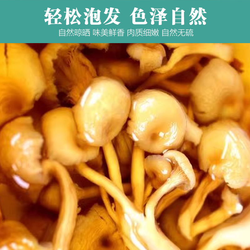 東北原産地の黄金キノコ楡黄茸菌茸包スープメーカー卸売り鶏油菌代発可|undefined