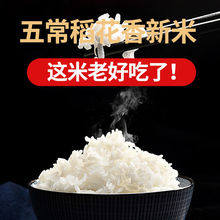 東北大米批發五常稻花香米20斤裝新米2年新大米長粒米稻香米0斤