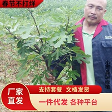 �ش�o��������粨���tͥԺ�����Ϸ������Nֲ�����o����������Ƥ