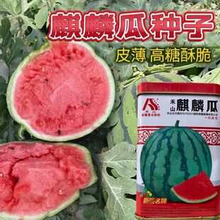 �������ϷN������߮a����͹��bһ���s�����ϷN����������ϷN��