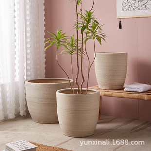 �ش�̖�մɻ���40cm��ڏ��Ƶ�M������ðlؔ���Gֲ�[��͸��