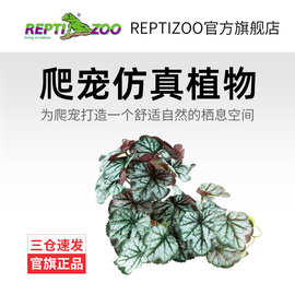 新派Reptizoo瑞皮仿真植物立式摆件爬宠饲养箱造景绿植鱼缸装饰品