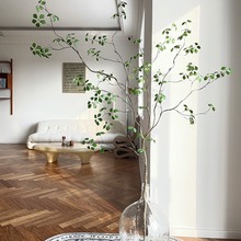 ���ļҷ���Gֲ�^��ɏ��������b����Ԕ[���ٻ��҃ȿ͏d����ֲ��