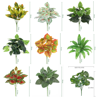 ֲ���ֲ��Gֲ�҃����b����ϻ������پG�}���G�~��ֲ��