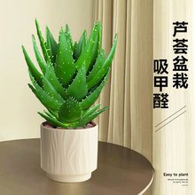 �J�C�����҃Ȏ���������Gֲ����ȩ�����՚����ֲ���ļ����B����