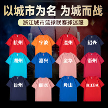 浙ba苍南球迷啦啦队短袖定制江苏城市联赛苏超应援T恤衫球衣团队