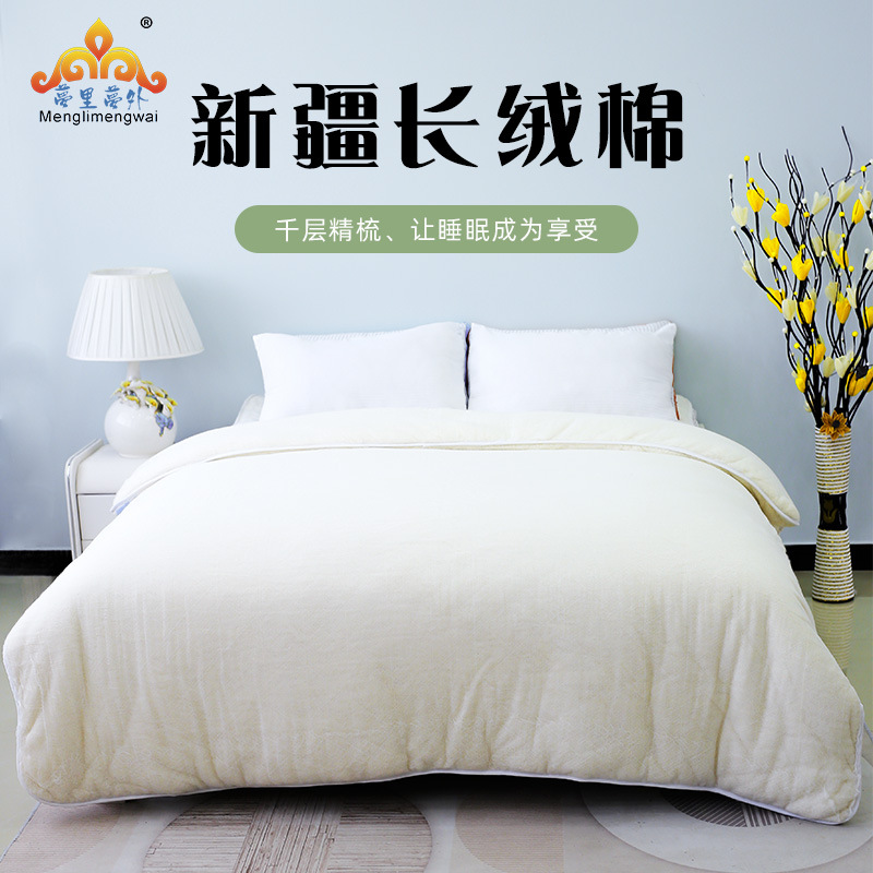秋冬新疆棉花被有网棉胎棉絮双层网套单双人学生盖被包边棉被芯