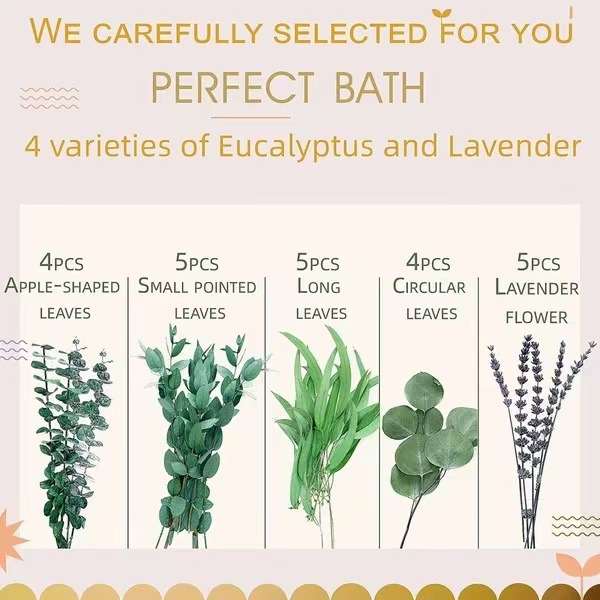 유칼립투스 & 라벤더 G-(상자 없음)