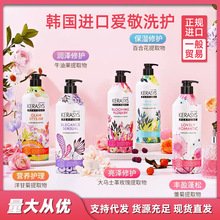 韩国洗发水科娜洗丝香水洗头膏洗发露护发素香味久留香柔顺毛男女