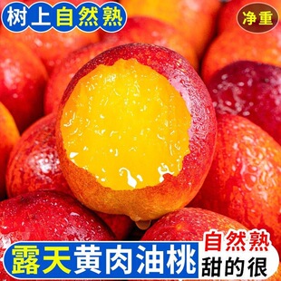 �S�����ґ������rˮ���Fժ�����S�������������l