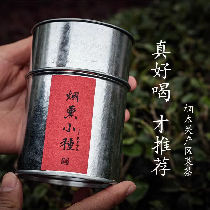 Master Wei | Smoked Lapsang Souchong Black Tea | Handmade Tongmuguan Wild Vegetable Tea Pine Smoke Traditional Craft Lapsang Souchong