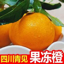 【爆甜多汁】青见果冻橙水果应季水果非橙子丑橘不知火耙耙柑沃柑