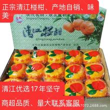 湖北长阳清江椪柑岩松坪椪柑桔子新鲜水果带箱14-15斤45枚正宗