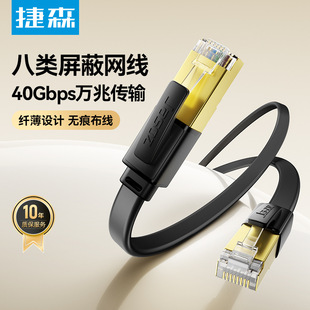 Jiesen Class 8 Flat Network Line Home Engineering cat 80000 Mega Flat Line Broadband Connection Router Computer Network