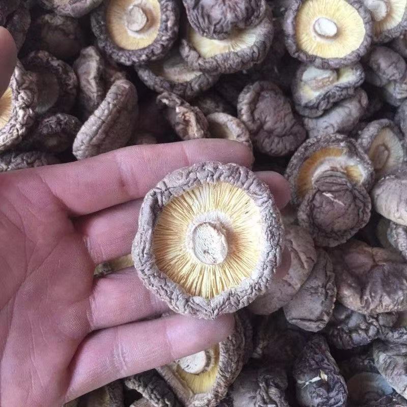 云南新货香菇干货肉厚无根鲜嫩香菇干货批发干香菇煲炒汤菜食材
