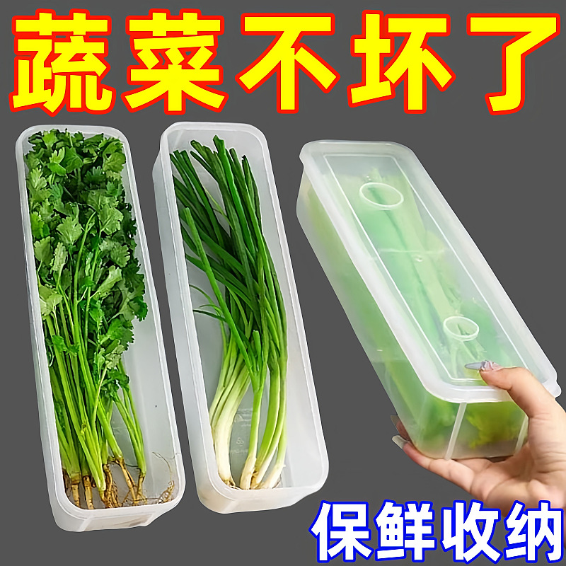 Preparación de verduras, cilantro, cebolla verde picada, caja de almacenamiento, refrigerador, artefacto de conservación de alimentos frescos con tapa portátil, preparación de fideos, cebolla verde, jengibre, ajo, conservación fresca
