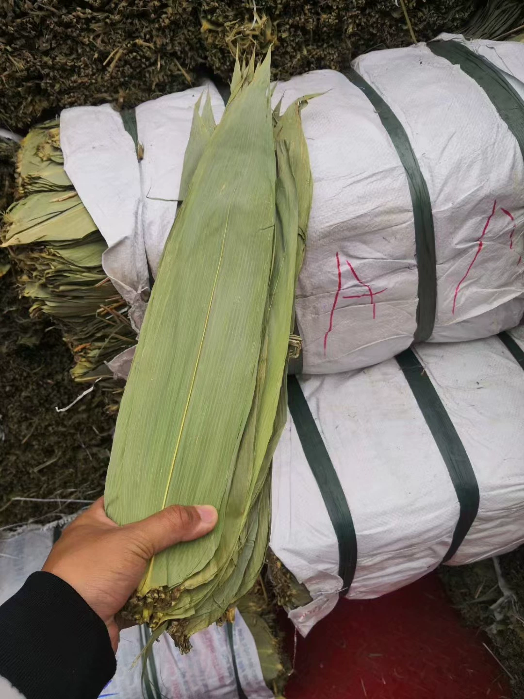 Ронгье оптом и сушкой больших рисовых листьев 50 катти, пачка булочек с рисовыми клецками, лепёшка для волос, нижняя часть лепёшки